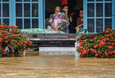 Awal 2026, BPBD Sumsel Catat 33 Bencana Alam: Banjir Paling Banyak Terjadi
