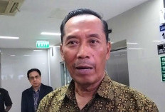 Bimbingan Skripsi Wajib di Kampus, Wamendiktisaintek Tekankan Pencegahan Kekerasan Seksual