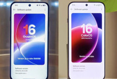 OPPO Dikabarkan Satukan OnePlus dan Realme, OxygenOS Terancam Tinggal Sejarah
