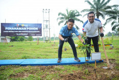 Pelestarian Lingkungan, PLN UID S2JB dan TNI AU Lanud Sri Mulyono Herlambang Tanam Pohon dan Tebar Bibit Ikan
