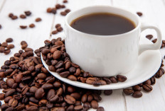 Minum Kopi Secukupnya Ternyata Bisa Bantu Redakan Stres, Ini Penjelasannya