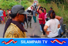 Kecelakaan di Simpang Pelawe Musi Rawas, Dua Pengendara Motor Meninggal Dunia