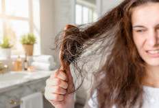Jangan Asal Cat Rambut! Ini Cara Aman agar Rambut Tetap Sehat