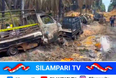 Diduga Akibat Illegal Drilling, Api Hanguskan Truk dan Lahan di Keluang Muba