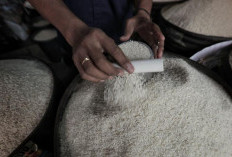 Bulog Siap Bangun 100 Gudang Modern, Anggaran Rp5 Triliun Disetujui Pemerintah