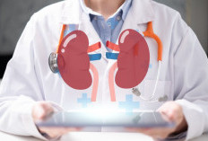 Gaya Hidup Modern Picu Gangguan Ginjal, Generasi Muda Diminta Lebih Waspada