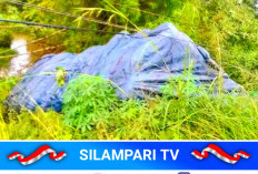Truk Pengangkut Barang Keluar Jalur dan Nyungsep ke Sungai di Tuah Negeri