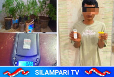 Polisi Gerebek Rumah Petani di Empat Lawang, 44 Batang Ganja dan Sabu Diamankan