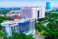 10 PTKIN Terbaik di Indonesia 2026 Versi Webometrics, UIN Bandung Pimpin Daftar