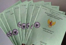 Rincian Biaya dan Syarat Pisah Sertifkat Tanah, Ini Penjelasan Lengkapnya