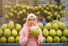 Bikin Tubuh Lebih Sehat, Ini 7 Waktu Terbaik Minum Air Kelapa