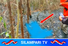 Niat Padamkan Api di Kebun, Warga Tulung Selapan OKI Ditemukan Meninggal