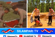 Reno, Anjing K-9 Polda Riau Gugur Dalam Misi Kemanusiaan di Sumbar
