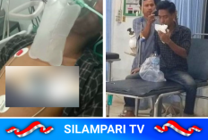 Digigit Ular Kobra Saat Ngopi di Teras, Pria di Musi Rawas Meninggal Dunia