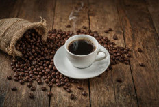 Benarkah Kafein Bisa Bantu Ingatan? Ini Penjelasan Studi Terbaru tentang Kopi