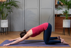 Tetap Bugar dari Rumah, Ini 7 Olahraga Ringan Efektif untuk Membakar Kalori