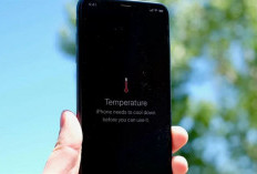 HP Cepat Panas? Ini Cara Ampuh Mendinginkan Ponsel Tanpa Risiko Kerusakan