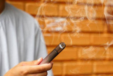 Dokter Jantung Tegaskan Vape Punya Risiko Serupa Rokok Konvensional, BNN Temukan Kandungan Etomidate