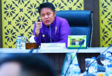 Herman Deru Puji Konsistensi Investor Dalam Pembangunan Jalan Khusus Batubara di Sumsel