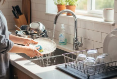 Jangan Anggap Sepele! Permukaan Licin pada Peralatan Rumah Bisa Jadi Sarang Bakteri