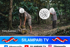 Heboh! Warga Lubuklinggau Ditembak Pemilik Kebun Saat Diduga Hendak Ambil Durian