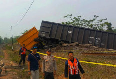 Tabrakan Kereta Batu Bara di Stasiun Talang Baru OKU, Empat Kru Dilarikan untuk Perawatan