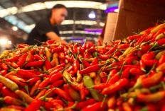 Lonjakan Harga Bahan Pokok Nasional, Cabai Merah Besar Tembus Rp88 Ribu per Kg