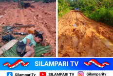Menyedihkan, Dua Desa di Musi Rawas Terisolasi: Krisis Sembako hingga Warga Sakit Meninggal di Perjalanan