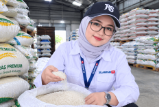 Bulog Pastikan Stok Beras Lubuklinggau, Mura-Muratara Aman hingga Akhir Tahun