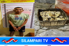 Pencurian Getah Karet Resahkan Warga OKU, Terduga Pelaku Diamankan Polisi