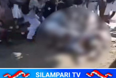 Terkuak! Ini Penyebab Viral Bullying Antar Pelajar SMP di Lubuklinggau