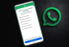 WhatsApp Uji Coba Layanan Premium, Hadirkan Fitur Personalisasi Lewat Paket Berlangganan