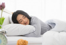 Durasi Tidur Siang Ideal: 20-30 Menit Biar Malam Nyenyak Tanpa Insomnia