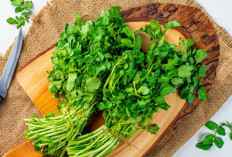 Rahasia Sehat dari Selada Air: Sayuran Sederhana dengan Segudang Manfaat