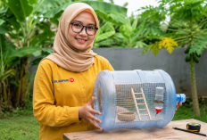 Cara Membuat Kandang Mini dari Galon Bekas, Solusi Murah, Kreatif, dan Ramah Lingkungan