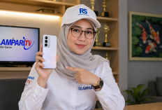 Mulai Rp. 2 Jutaan! Ini Daftar HP 256 GB yang Layak Dibeli Tahun 2026