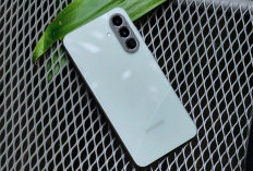 Harga HP Samsung Terbaru per 1 Januari 2026 dan Cara beli HP Samsung Secara Online