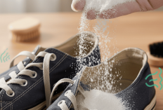 Sepatu Kehujanan Jadi Apek? Ini Cara Ampuh Menghilangkan Bau dan Menjaganya Tetap Segar