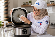 Nasi Cepat Berair dan Bau? Cek Kondisi Pemanas Rice Cooker Anda Sekarang Juga