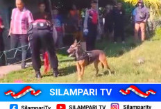 Pelaku Perampokan Emas Milik Lansia di Ogan Ilir Masih Diburu, Polisi Turunkan Anjing Pelacak K9