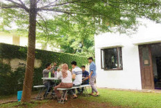 Cukup 20 Menit di Pagi Hari, Kebiasaan Sederhana Ini Bisa Tingkatkan Kesehatan Fisik dan Mental