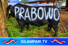 Prabowo Gelontorkan Rp. 100 Miliar untuk 1.098 Sapi Kurban Idul Adha 1447 H