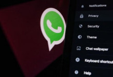 Cara Ampuh Hentikan Telepon WhatsApp Tanpa Harus Blokir Kontak
