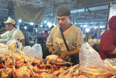 Harga Daging Ayam di Palembang Naik Jadi Rp33 Ribu per Kg, Efek Permintaan Program MBG Mulai Terasa