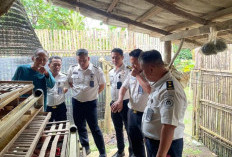 Dukung Program Kemandirian WBP, Lapas Narkotika Muara Beliti Lakukan Studi Peternakan Ayam