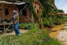 Abrasi Sungai Rawas Kian Parah, Tujuh Rumah di Muratara Terancam Ambruk