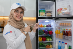 5 Kulkas 2 Pintu Paling Irit Listrik Tahun 2026, Cocok untuk Rumah Minimalis
