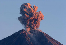 Gunung Semeru Erupsi 4 Kali dalam 3 Jam, Kolom Abu Capai 1.300 Meter