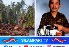 Kisah Jurnalis yang Kehilangan Jemari Karena Mengungkap Penebangan Hutan di Kalimantan