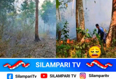 Karhutla Bukit Sulap Lubuklinggau Diduga Disengaja, Ini Temuan Petugas